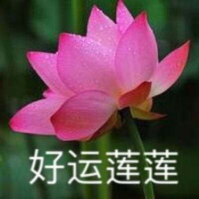 泰洛尔颂歌手游国际版下载